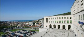 Il panorama dell'Università di Trieste. Se vi iscriverete tutto questo sarà vostro, o quasi.